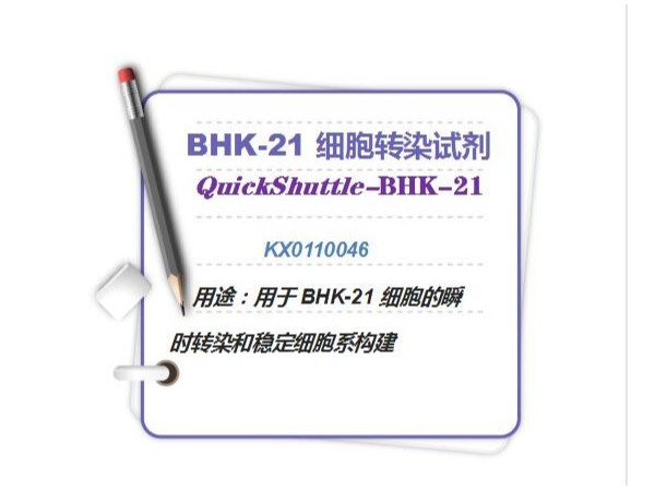 QuickShuttle-BHK-21 細(xì)胞轉(zhuǎn)染試劑