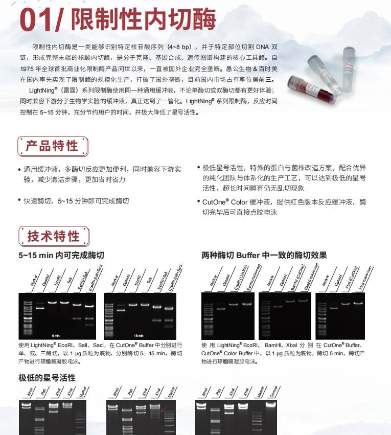 taq DNA 聚合酶和限制性內切酶哪種在分子生物學實驗中用量較大？