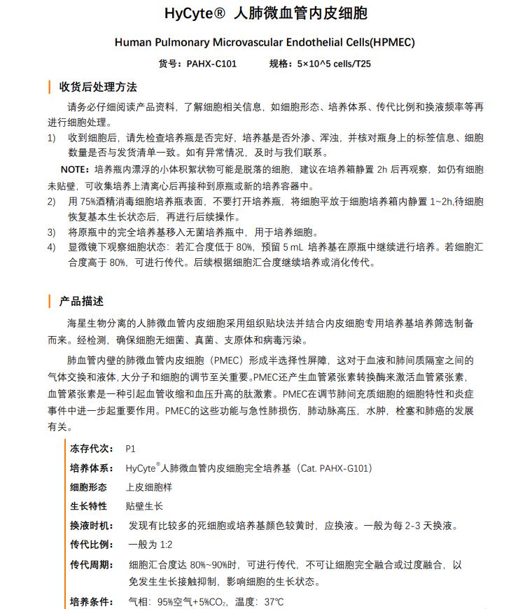 血管內(nèi)皮細(xì)胞