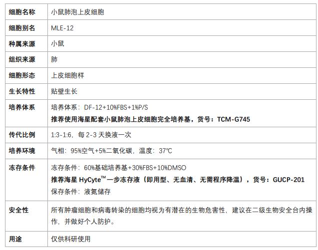 mle-12細(xì)胞