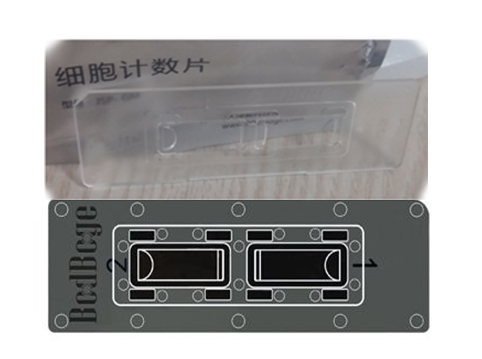 博大博聚 一次性細(xì)胞計數(shù)板   細(xì)胞計數(shù)片