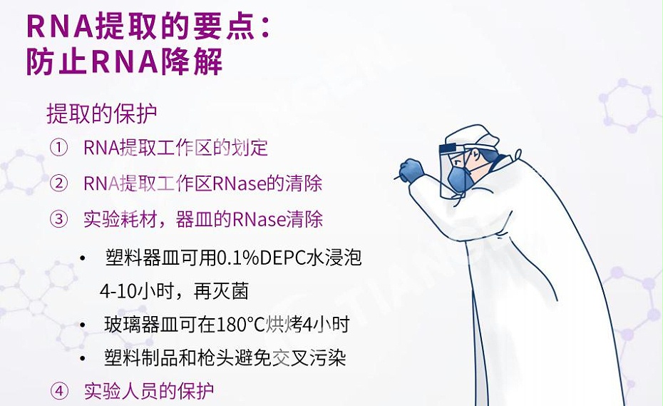 RNA提取要點