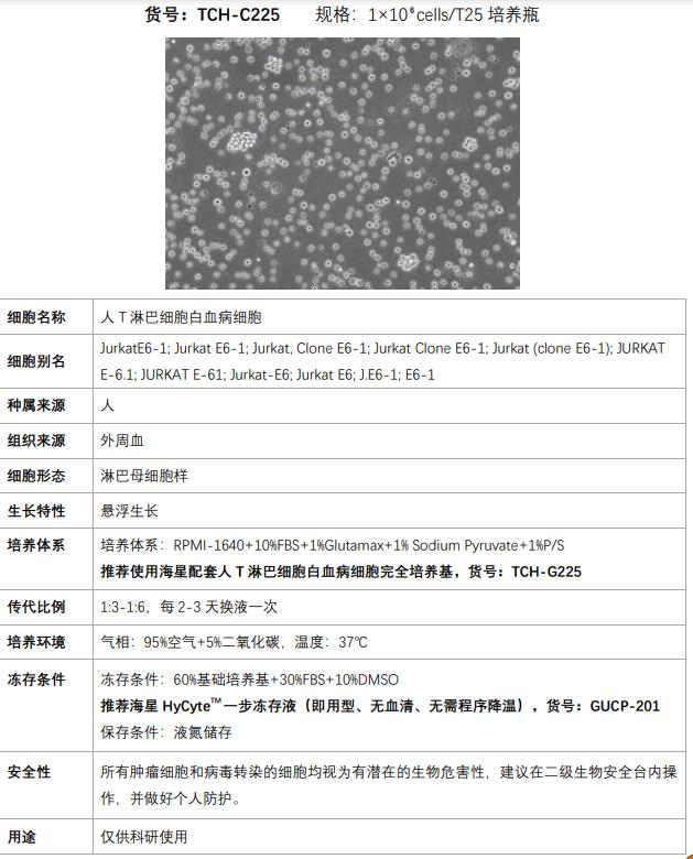 Jurkat細(xì)胞使用說明