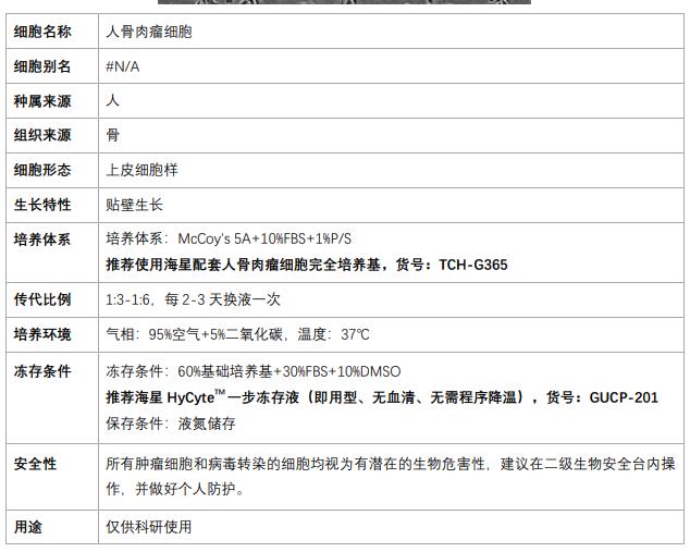 U2O細(xì)胞