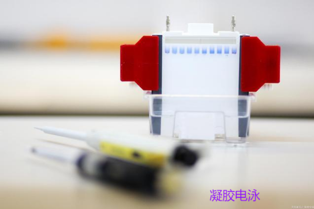 常規(guī)的移液器校準證書和CNAS 認證的校準證書有什么區(qū)別？