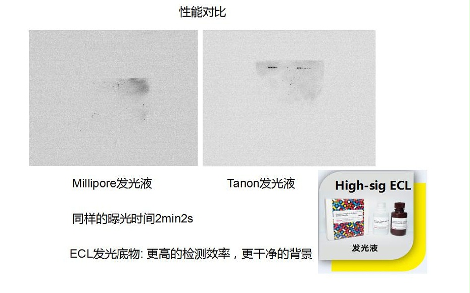 天能發(fā)光液性能對比