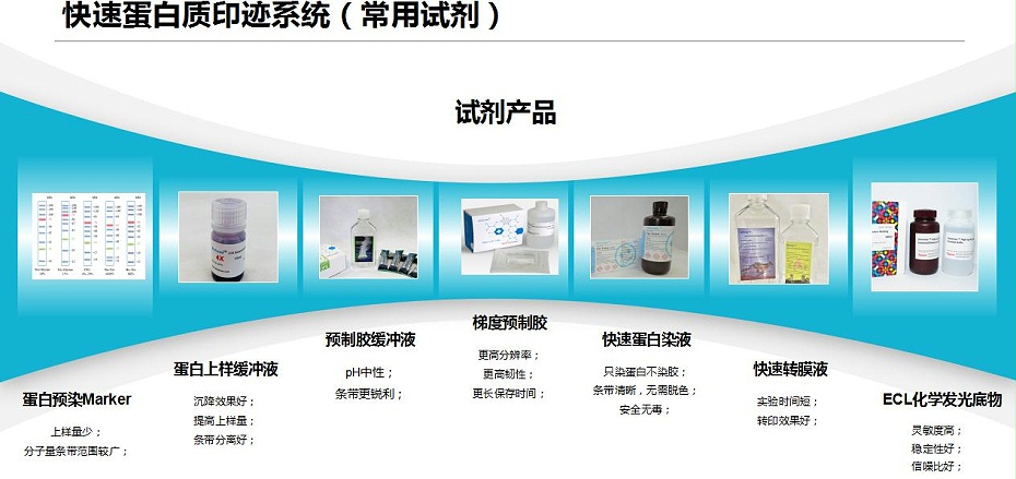 快速轉印常用試劑