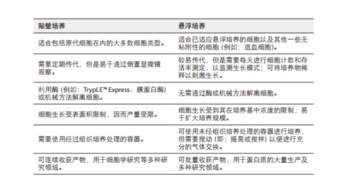 細胞培養(yǎng)