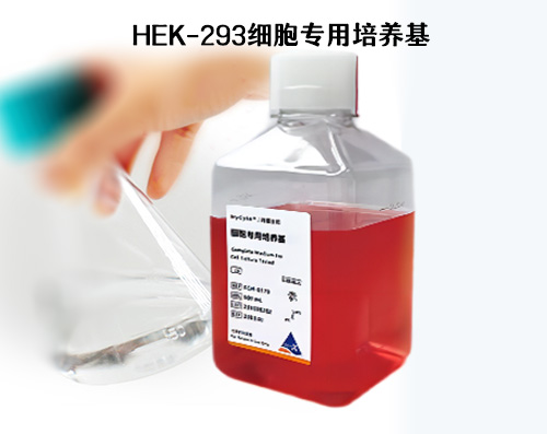 HEK-293細(xì)胞培養(yǎng)基