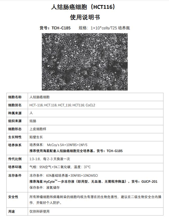 結(jié)腸癌細(xì)胞HCT116jpg