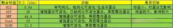 蛋白純化標簽