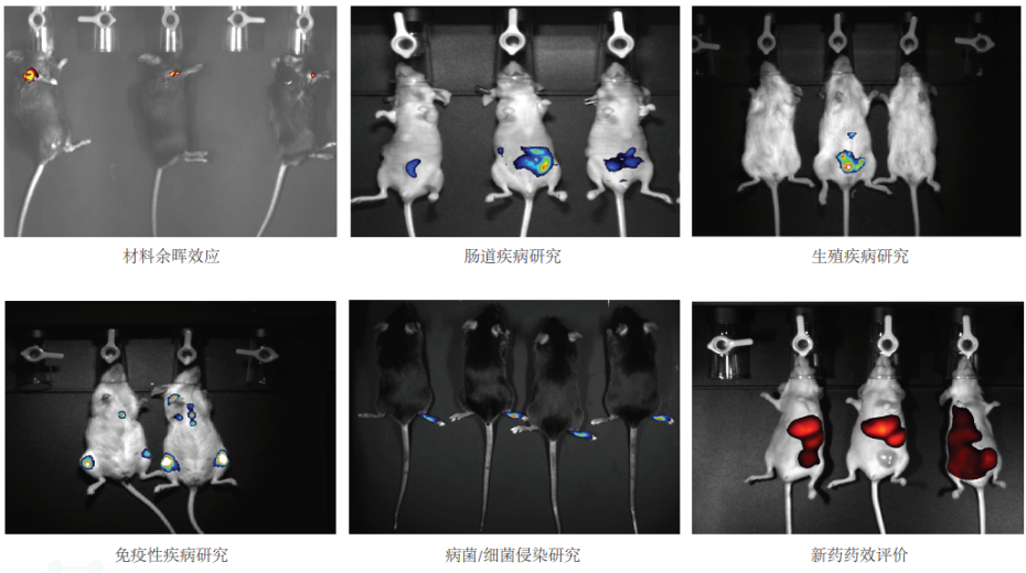 Tanon ABL-X6 動(dòng)物活體成像系統(tǒng)