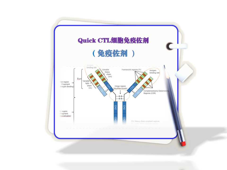 Quick CTL-細(xì)胞免疫佐劑-免疫佐劑?