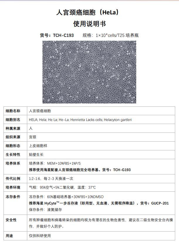 hela 細(xì)胞說明書