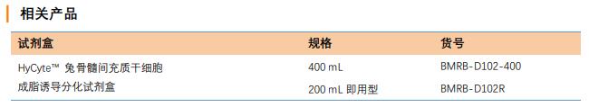 兔骨髓干細(xì)胞