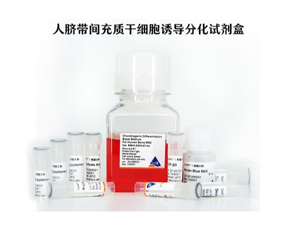 人臍帶間充質(zhì)干細胞誘導分化試劑盒