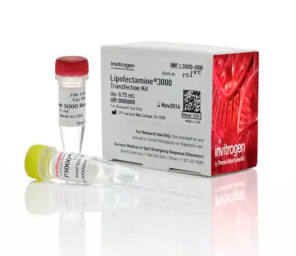 LIP3000細胞轉染試劑