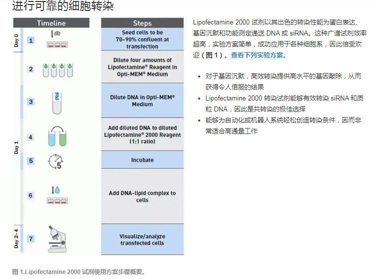 LIP200轉(zhuǎn)染試劑