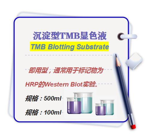 沉淀型TMB