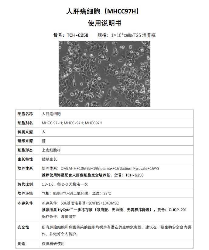 人肝癌細(xì)胞MHCC97-H