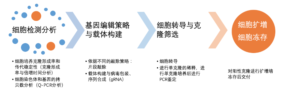 細胞工作流程