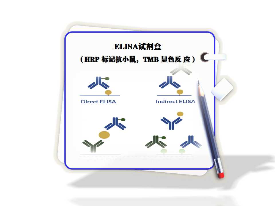 試劑盒elisa?（HRP 標(biāo)記抗小鼠，TMB 顯色反 應(yīng)）