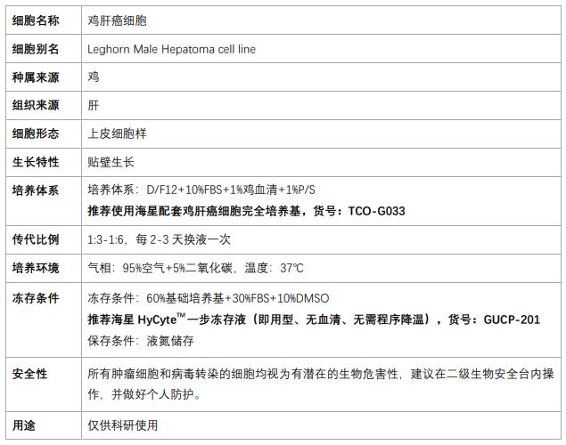 lmh細(xì)胞
