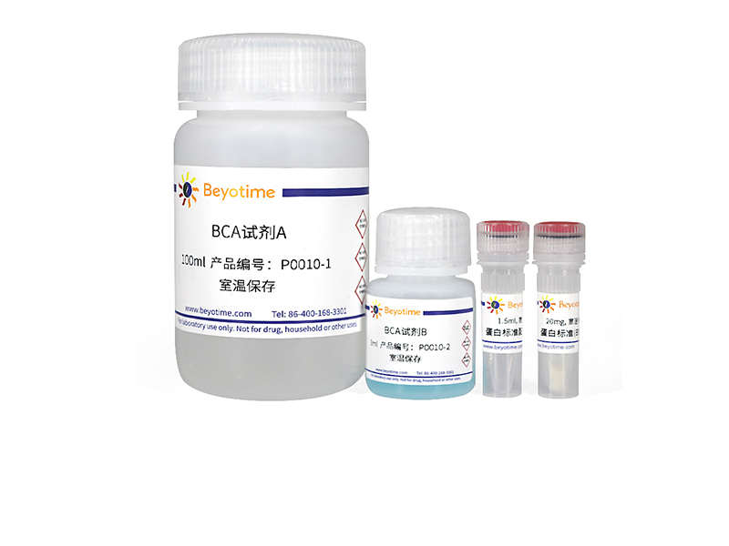 碧云天-P0010-BCA蛋白濃度測(cè)定試劑盒增強(qiáng)型