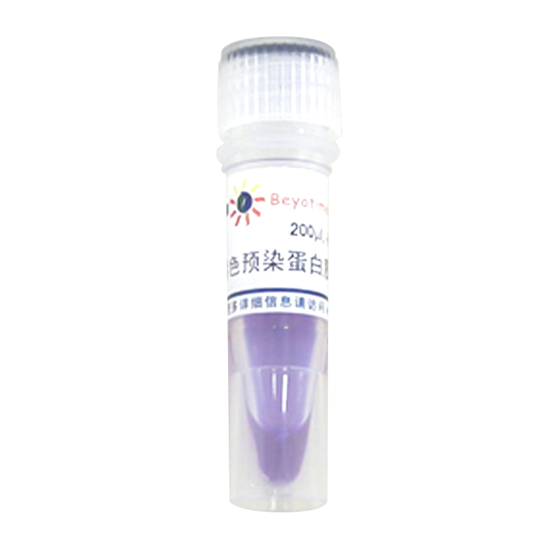 碧云天P0068-彩色預(yù)染蛋白質(zhì)分子量標(biāo)準(zhǔn)(10-180kD)