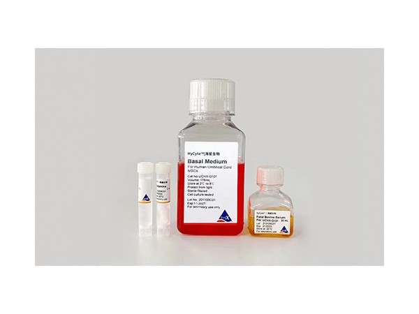 HyCyte SD大鼠骨髓間充質(zhì)干細胞去外泌體專用培養(yǎng)基