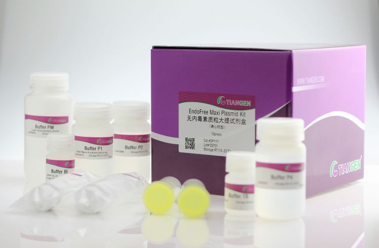 無內(nèi)毒素質(zhì)粒提取試劑盒